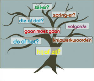 Onderwijs – Wat & Hoe NT2